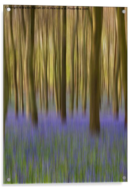  Bluebell Wood Acrylic by Martin Parratt