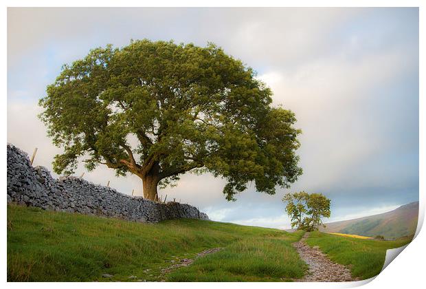  Dreamy Hilltop Print by Sean Wareing