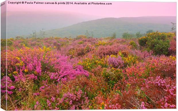  Exmoor in September Canvas Print by Paula Palmer canvas