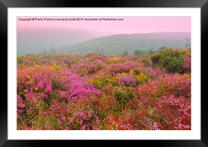  Exmoor in September Framed Mounted Print by Paula Palmer canvas
