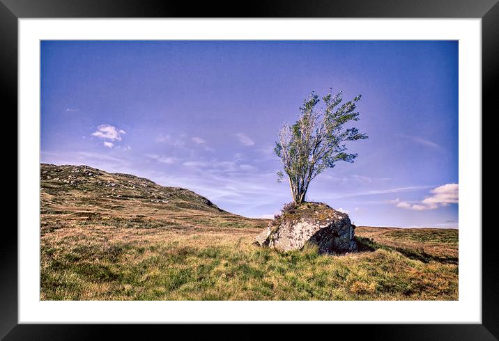  Highland Tree Framed Mounted Print by Mark Godden