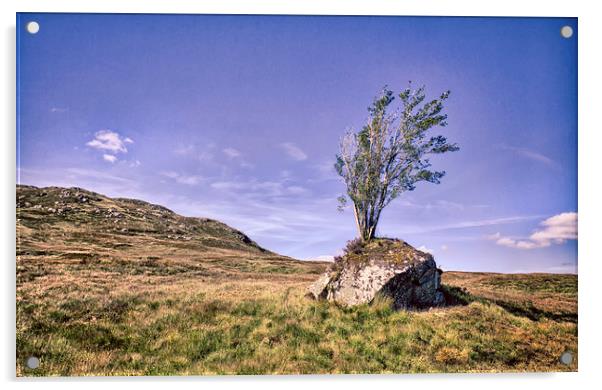  Highland Tree Acrylic by Mark Godden