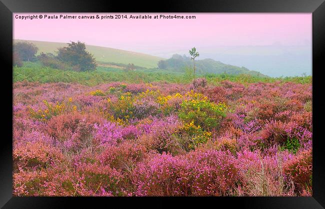  Exmoor view Framed Print by Paula Palmer canvas