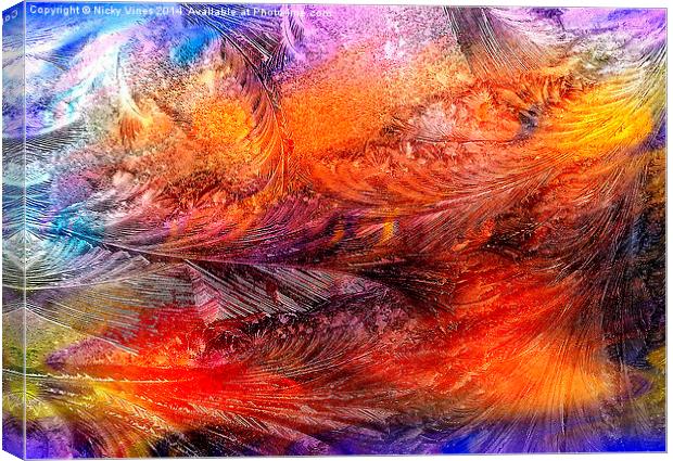 Ice crystals  Canvas Print by Nicky Vines