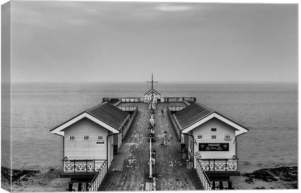 Penarth Pier Black and White Canvas Print by Steve Purnell