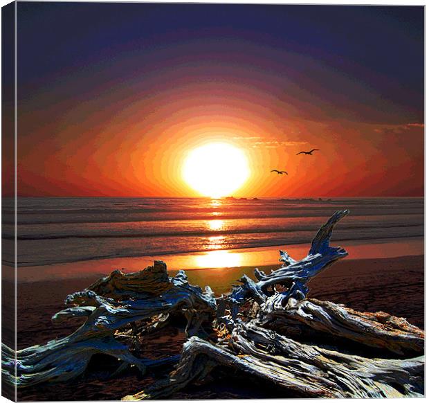 Brilliant Posterized SUNSET Canvas Print by james balzano, jr.