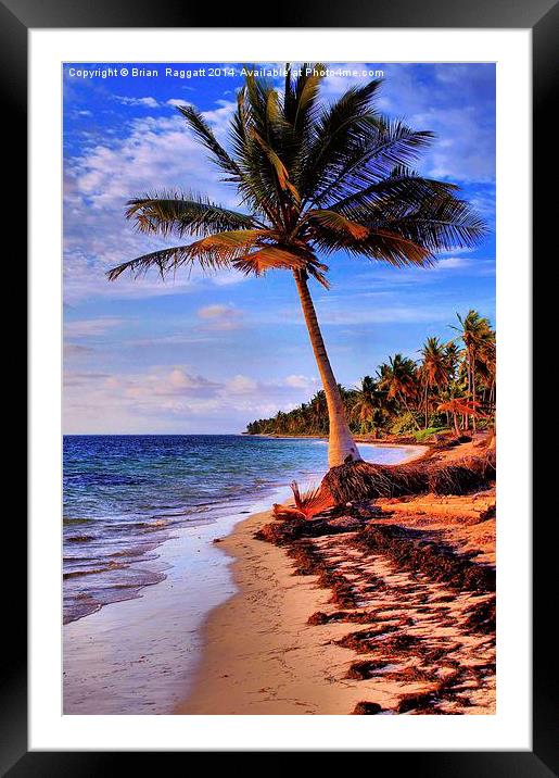  Tropical Island Beach Framed Mounted Print by Brian  Raggatt