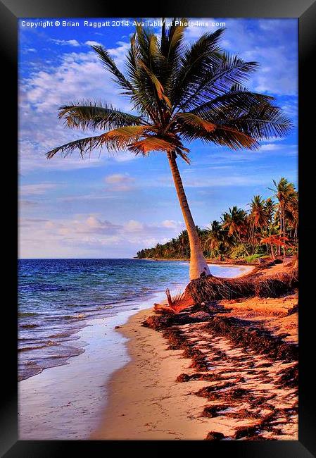  Tropical Island Beach Framed Print by Brian  Raggatt