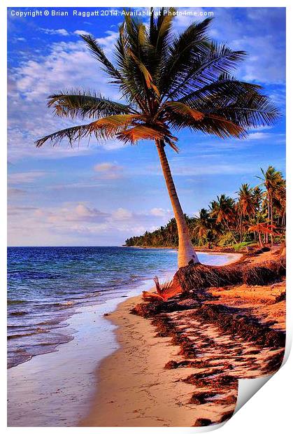  Tropical Island Beach Print by Brian  Raggatt