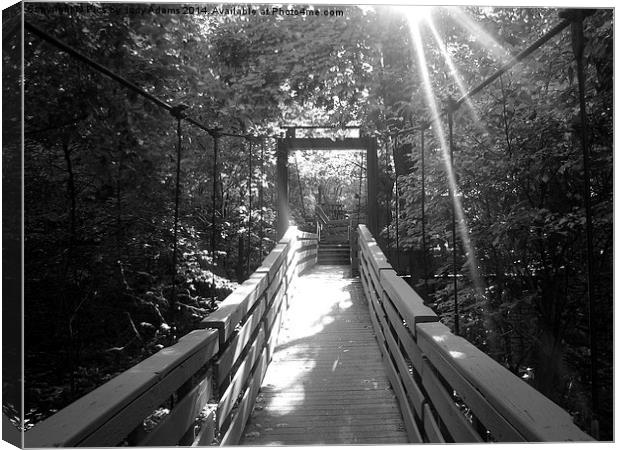  Swinging Bridge Canvas Print by Pics by Jody Adams