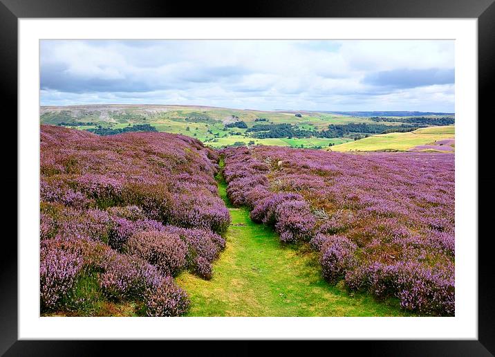  Yorkshire Moorland Framed Mounted Print by Gisela Scheffbuch