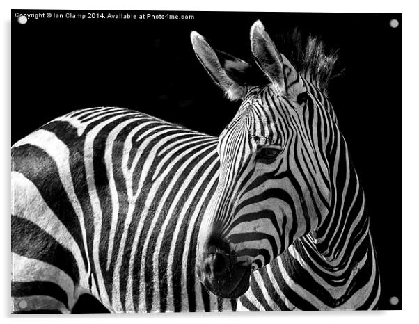 Stripes Acrylic by Ian Clamp