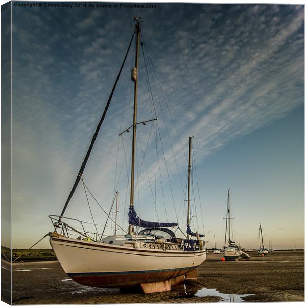  High and Dry Canvas Print by Simon Gray