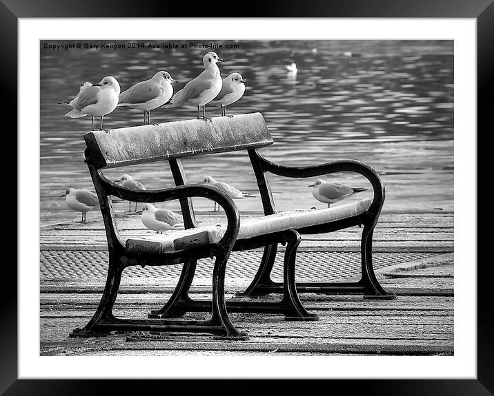  Bird Bench At Stanley park Framed Mounted Print by Gary Kenyon