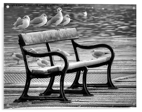  Bird Bench At Stanley park Acrylic by Gary Kenyon