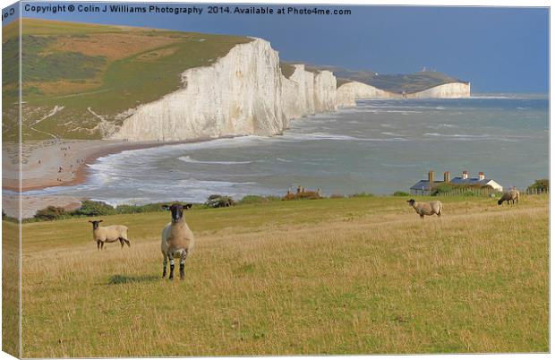  Sheep and the Seven Sisters Canvas Print by Colin Williams Photography