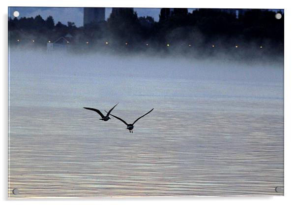 Birds in the Mist Acrylic by Tony Murtagh