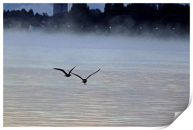 Birds in the Mist Print by Tony Murtagh