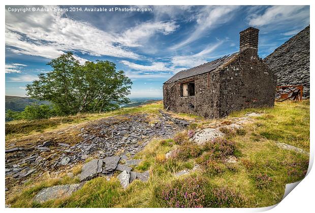 Old Quarry Building Print by Adrian Evans