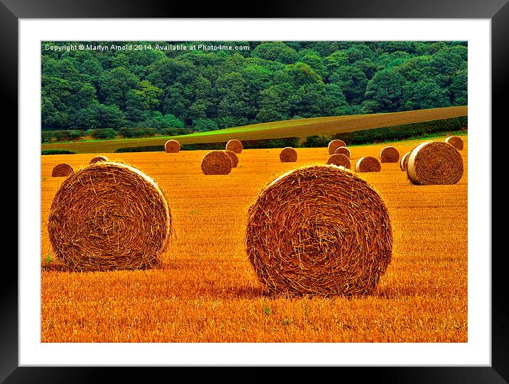 Autumn Hay Bales  Framed Mounted Print by Martyn Arnold
