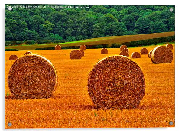 Autumn Hay Bales  Acrylic by Martyn Arnold