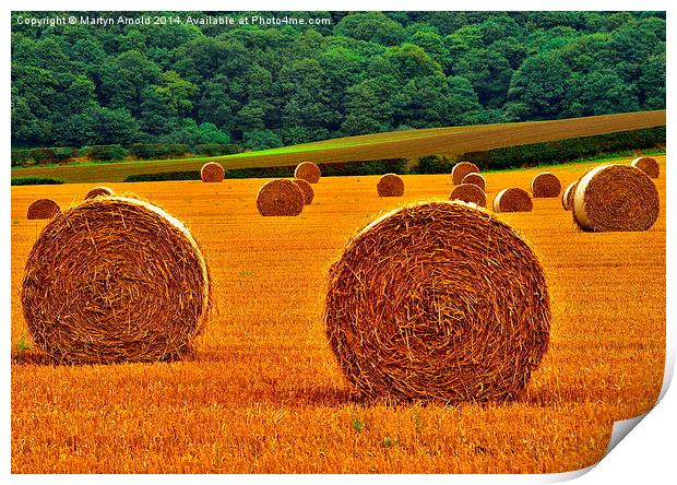 Autumn Hay Bales  Print by Martyn Arnold