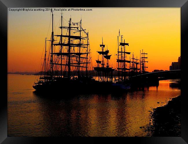  Greenwich Tall Ships Festival Framed Print by sylvia scotting