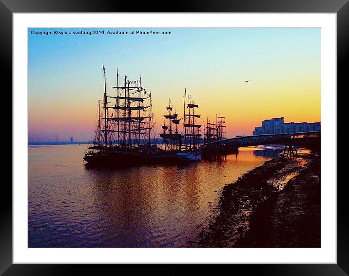  Tall Ships festival at sunrise Framed Mounted Print by sylvia scotting