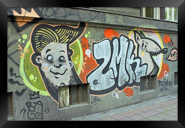 Graffiti in Belgrade Framed Print by Tony Murtagh