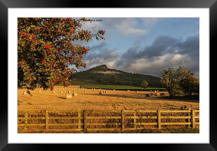  Winter Feed Roseberry Topping Framed Mounted Print by keith sayer