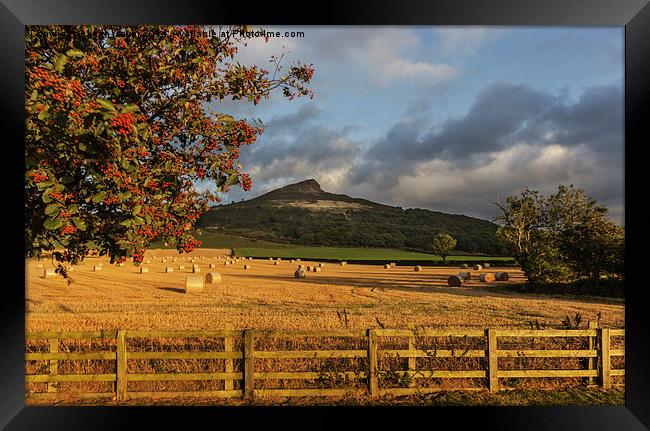  Winter Feed Roseberry Topping Framed Print by keith sayer