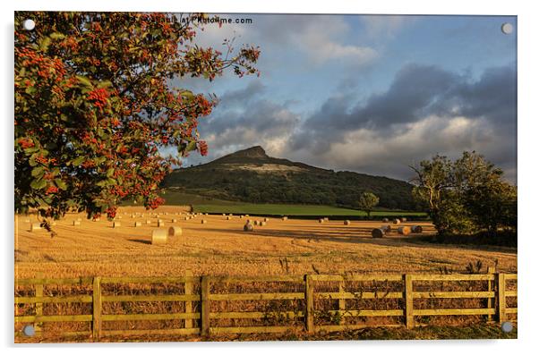  Winter Feed Roseberry Topping Acrylic by keith sayer