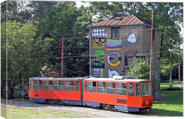 Red Tram in Belgrade  Canvas Print by Tony Murtagh