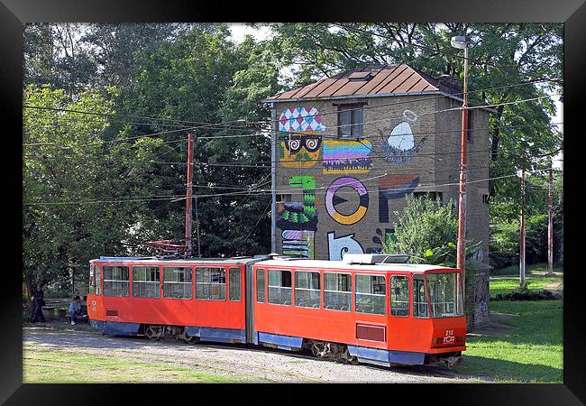 Red Tram in Belgrade  Framed Print by Tony Murtagh