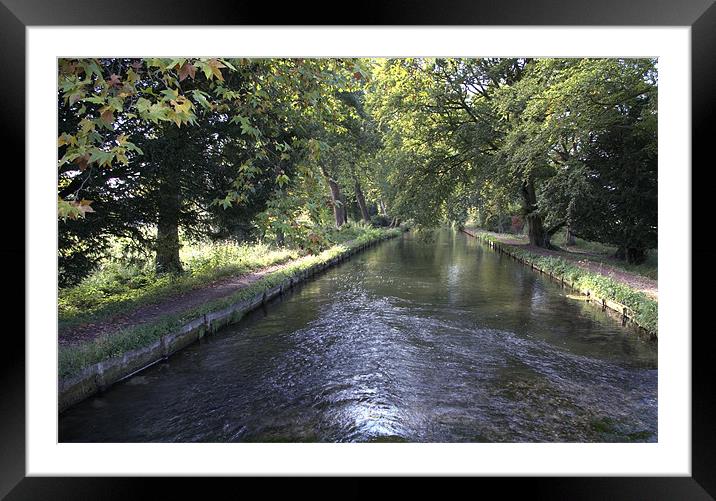 Tow Path Framed Mounted Print by Alan Pickersgill