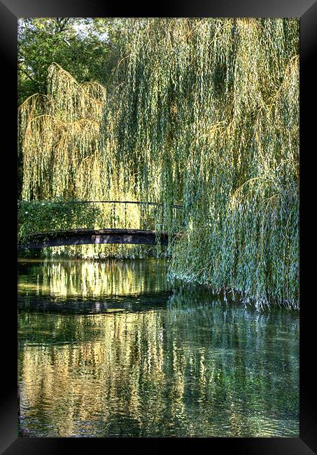 Willow Bridge Framed Print by Alan Pickersgill