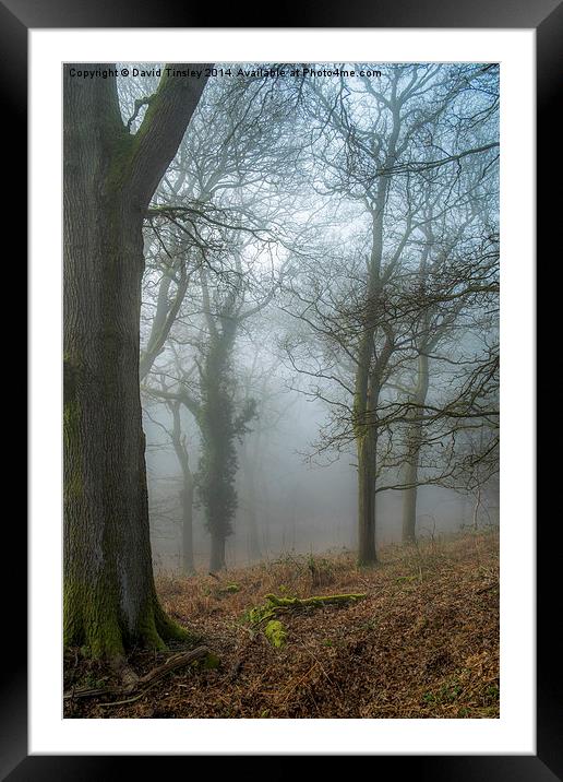  Misty Winters Morn Framed Mounted Print by David Tinsley