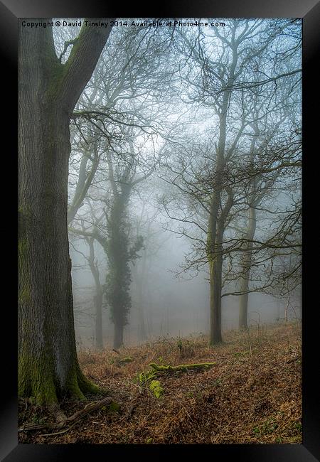 Misty Winters Morn Framed Print by David Tinsley