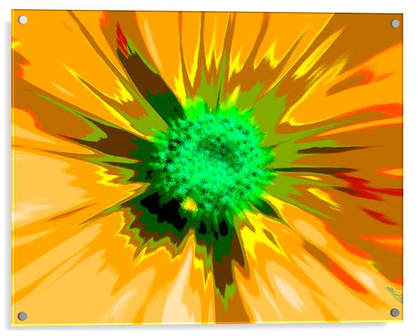  Flower Explosion Colour Acrylic by David French