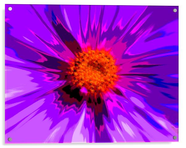  Flower Explosion Colour Acrylic by David French