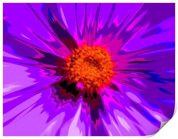 Flower Explosion Colour Print by David French