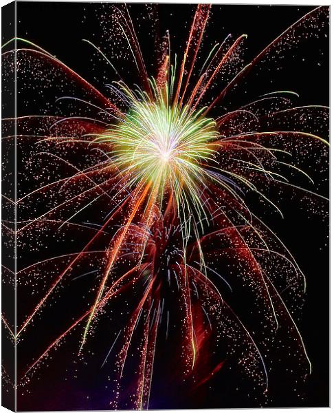 Fireworks Canvas Print by Martin Parratt