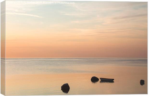 Swedish Serenity  Canvas Print by Andy Mather