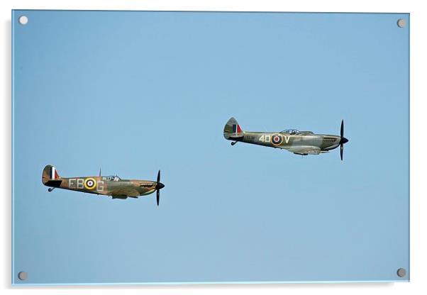  Spitfires Acrylic by Stephen Taylor