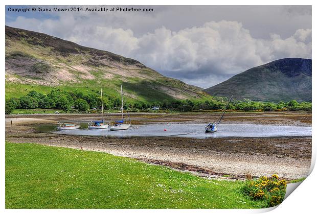  Lochranza Scotland Print by Diana Mower