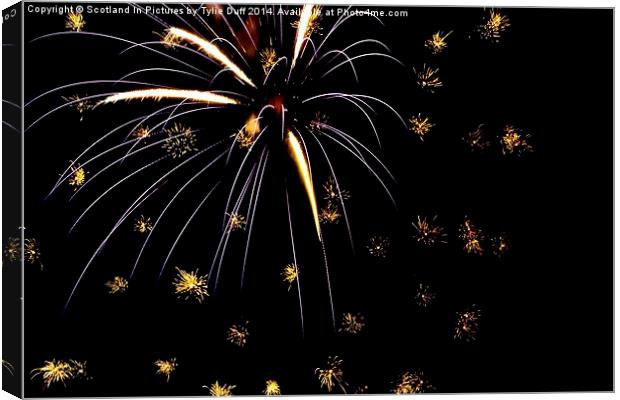  Fireworks Display Canvas Print by Tylie Duff Photo Art