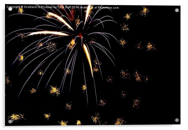  Fireworks Display Acrylic by Tylie Duff Photo Art