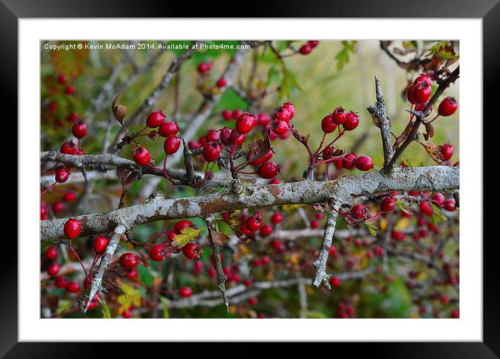 Signs of Autumn Framed Mounted Print by Kevin McAdam