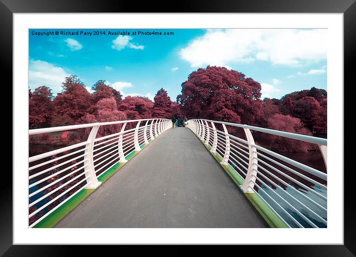  Cardiff Bridge Infra Red Framed Mounted Print by Richard Parry