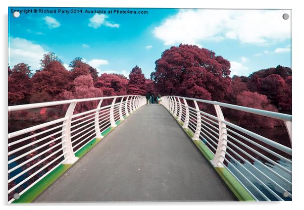  Cardiff Bridge Infra Red Acrylic by Richard Parry